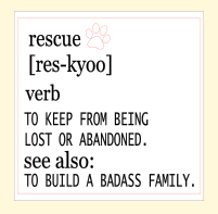 2x2 Rescue Pets Fundraiser